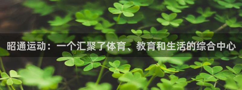 米兰体育官方正版app新能源:昭通运动:一个汇聚了体育、教育