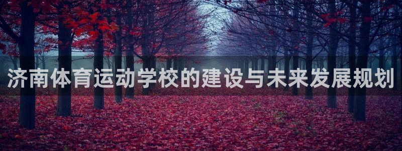 米兰体育官网下载注册:济南体育运动学校的建设与未来发展规划