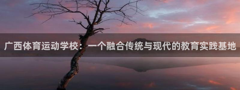 米兰体育官方正版app娱乐是那个系列的台子:广西体育运动学校